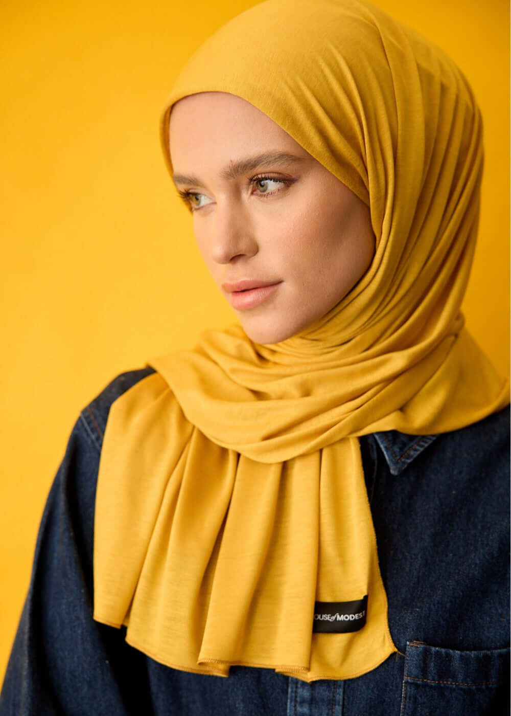 HOUSE OF MODEST HARDAL